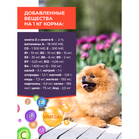 Сухой корм для собак GRANDHOLI Для породы шпиц Говядина с ягодами 1,5 кг