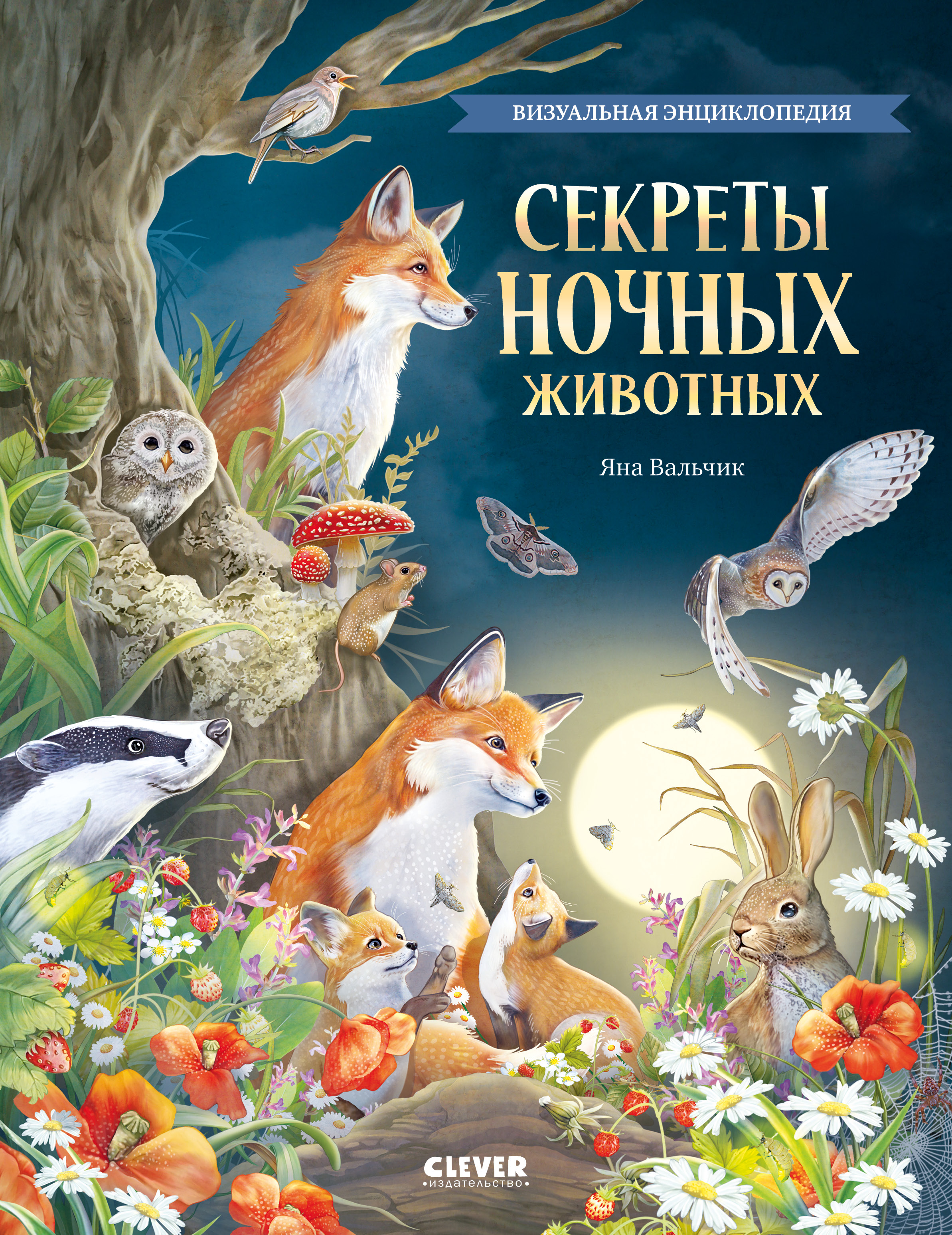 Книга Clever Секреты ночных животных. Визуальная энциклопедия - фото 1