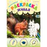 Раскраска А4 Bright Kids ЛЕСНЫЕ ДРУЗЬЯ 8 листов 198х260