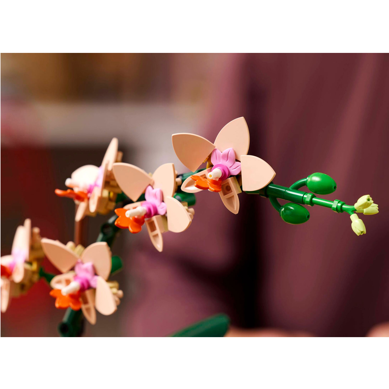 Конструктор LEGO Botanicals Орхидея Мини 274 дет. - фото 4