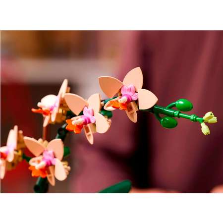 Конструктор LEGO Botanicals Орхидея Мини блочный