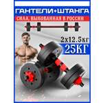 Набор блинов с грифом БлинДаГриф 12,5кг 2шт