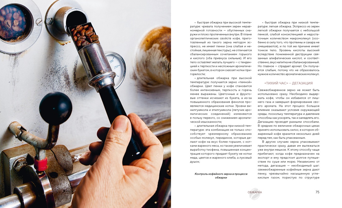 Книга КОЛИБРИ Оделло Л Руджиери Д Философия кофе От зерна до идеального напитка - фото 11