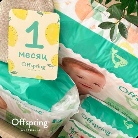 Подгузники Offspring NB (2-4 кг, 3-6 кг) 48 шт.