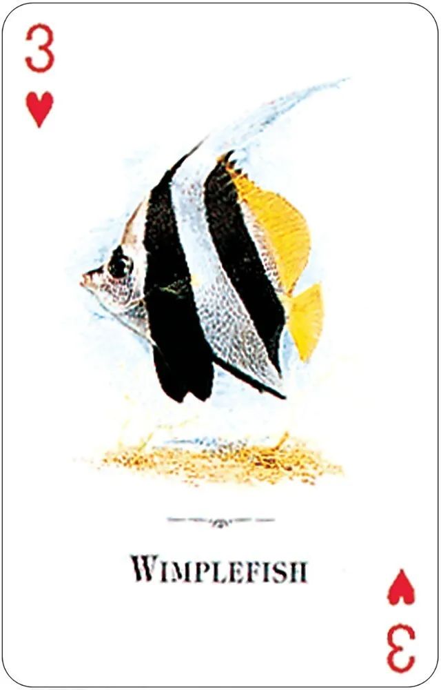 Настольная игра US Games Systems - фото 4