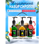Набор сиропов SPOOM Тархун Груша Мята для коктейлей лимонадов и чая3шт 250мл + 3 дозатора