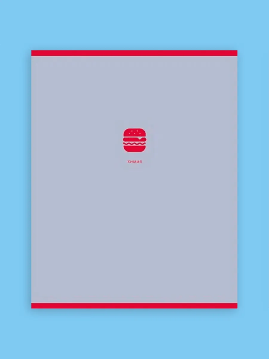 Тетрадь BG 48 лист. 12 шт. (Алгебра, Английский язык, Биология, Физика, География, Геометрия, Химия, Информатика, История, Литература, Обществознание, Русский язык) - фото 15