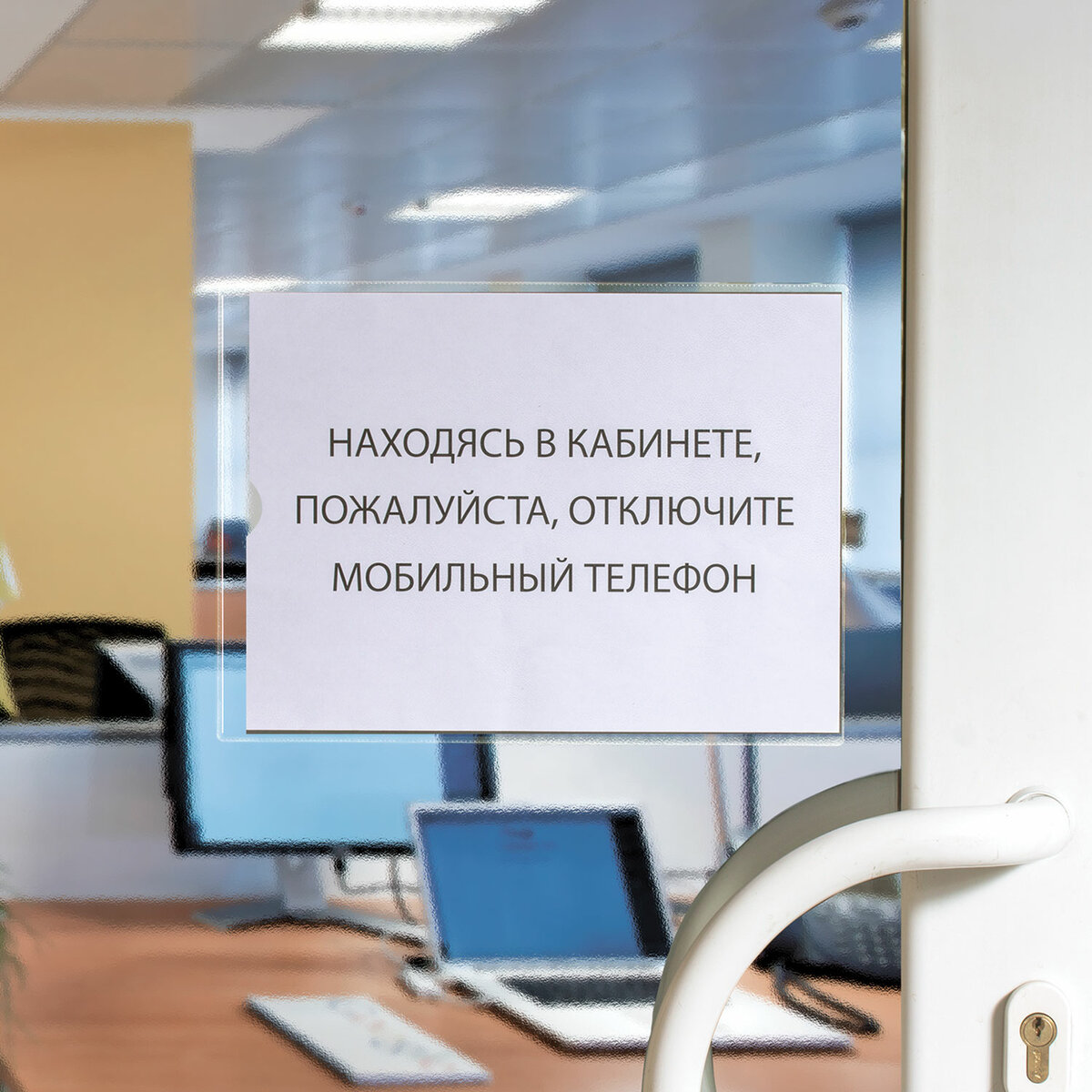Файл Staff А4 - фото 10