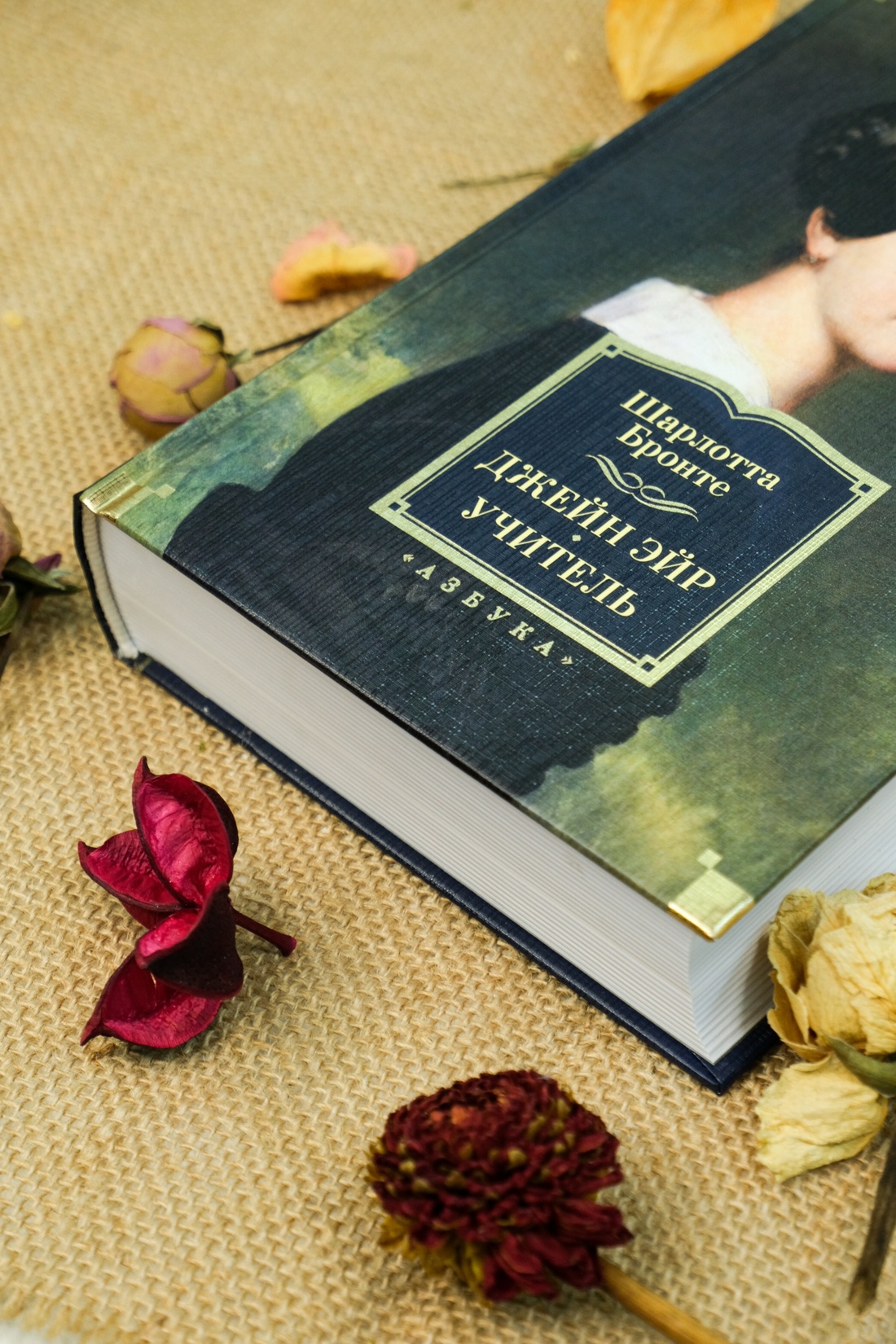 Книга АЗБУКА ИЛБК. Бронте Ш. Джейн Эйр. Учитель (с илл.) - фото 18