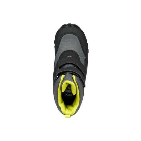 Сапоги GEOX