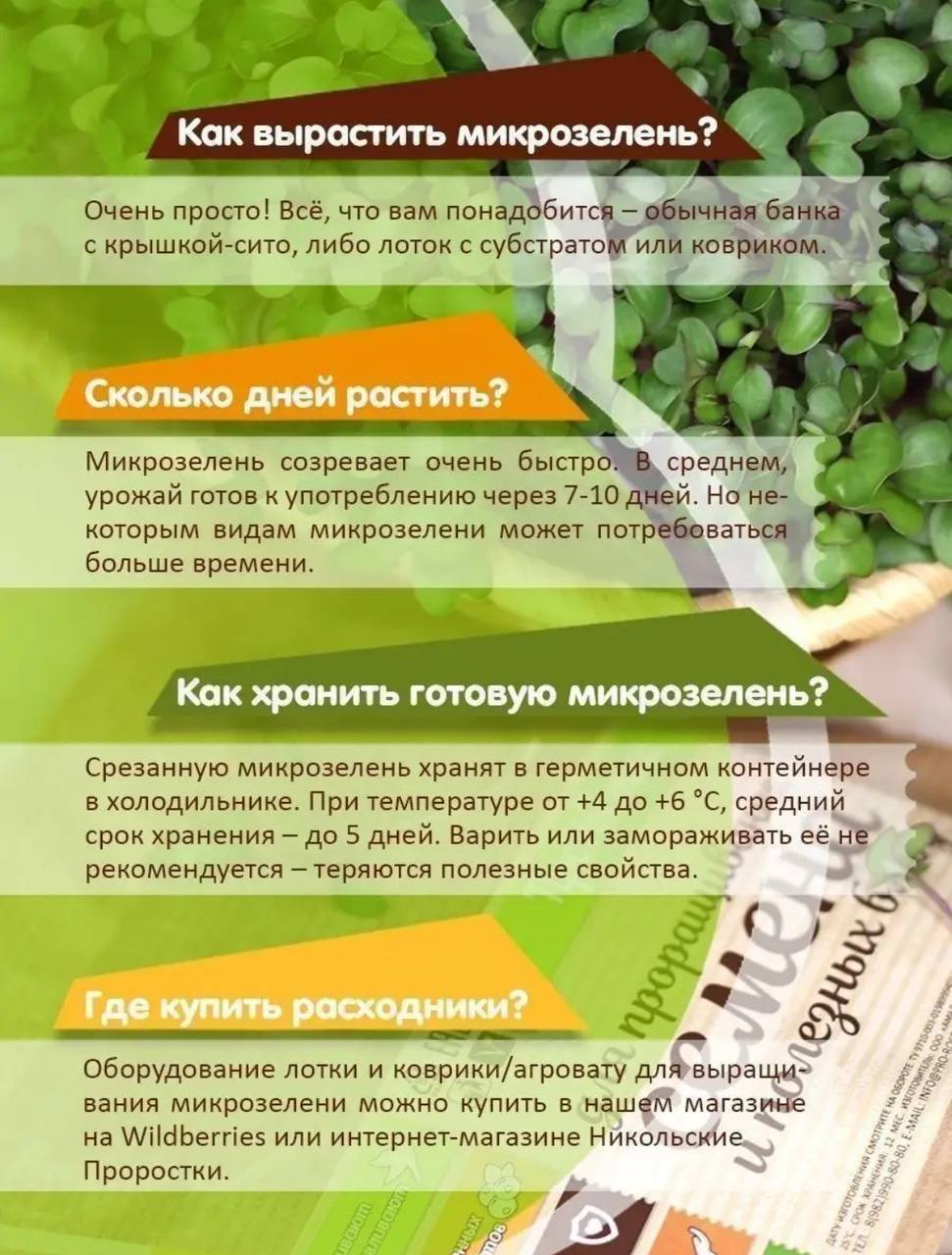 Семена для микрозелени MegaMedia люцерна - фото 9