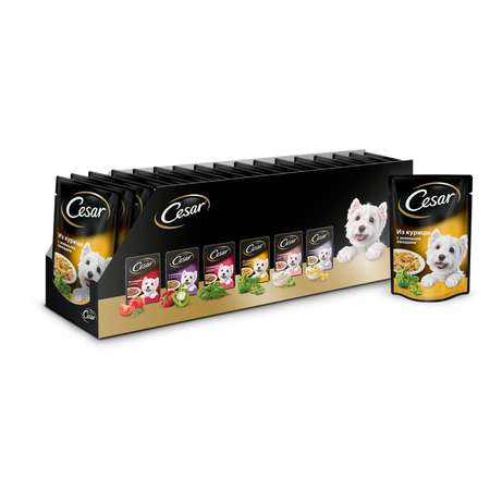 Корм для собак Cesar 100г из курицы с зелеными овощами пауч