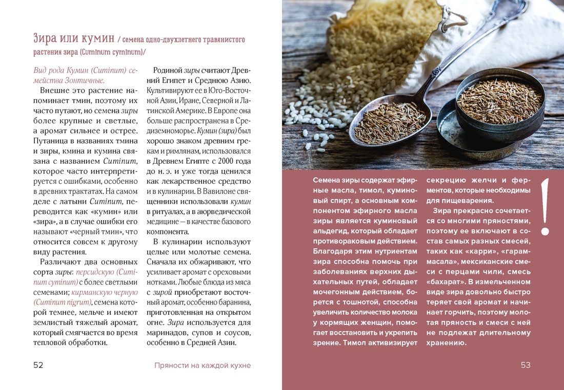 Книга КОЛИБРИ Дараган Сущова М Праздник как по нотам Специи и пряности Высокая кухня - фото 15