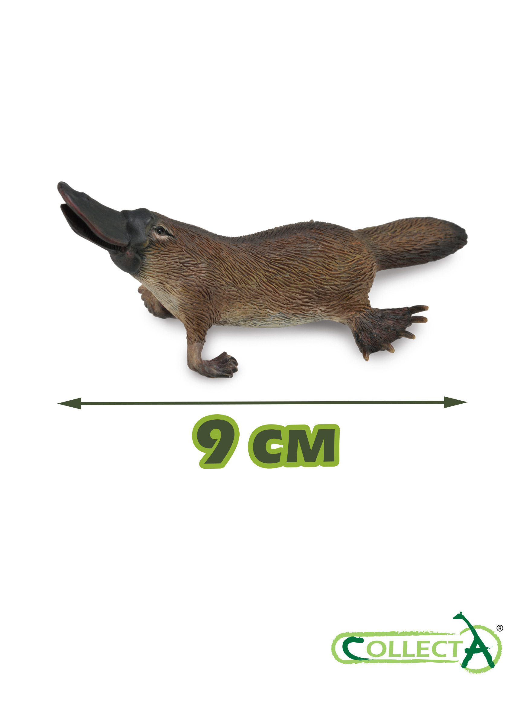 Фигурка Collecta Утконос - фото 2