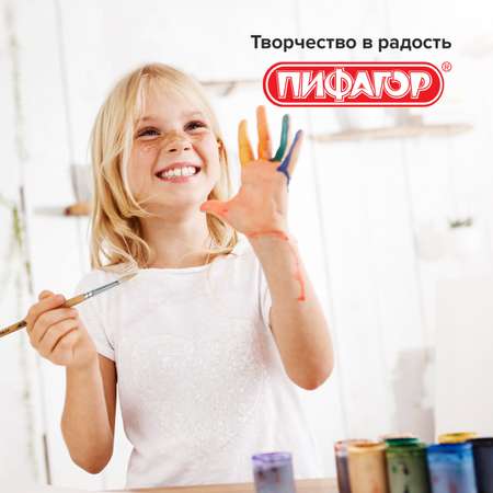 Кисть Пифагор 5 шт. (коза, пони, щетина)