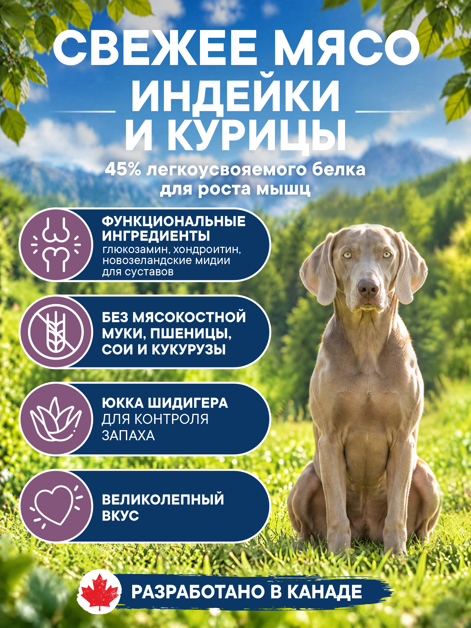 Корм для собак сухой Pronature Holistic Pilgrim на индейке с клюквой 340г - фото 2