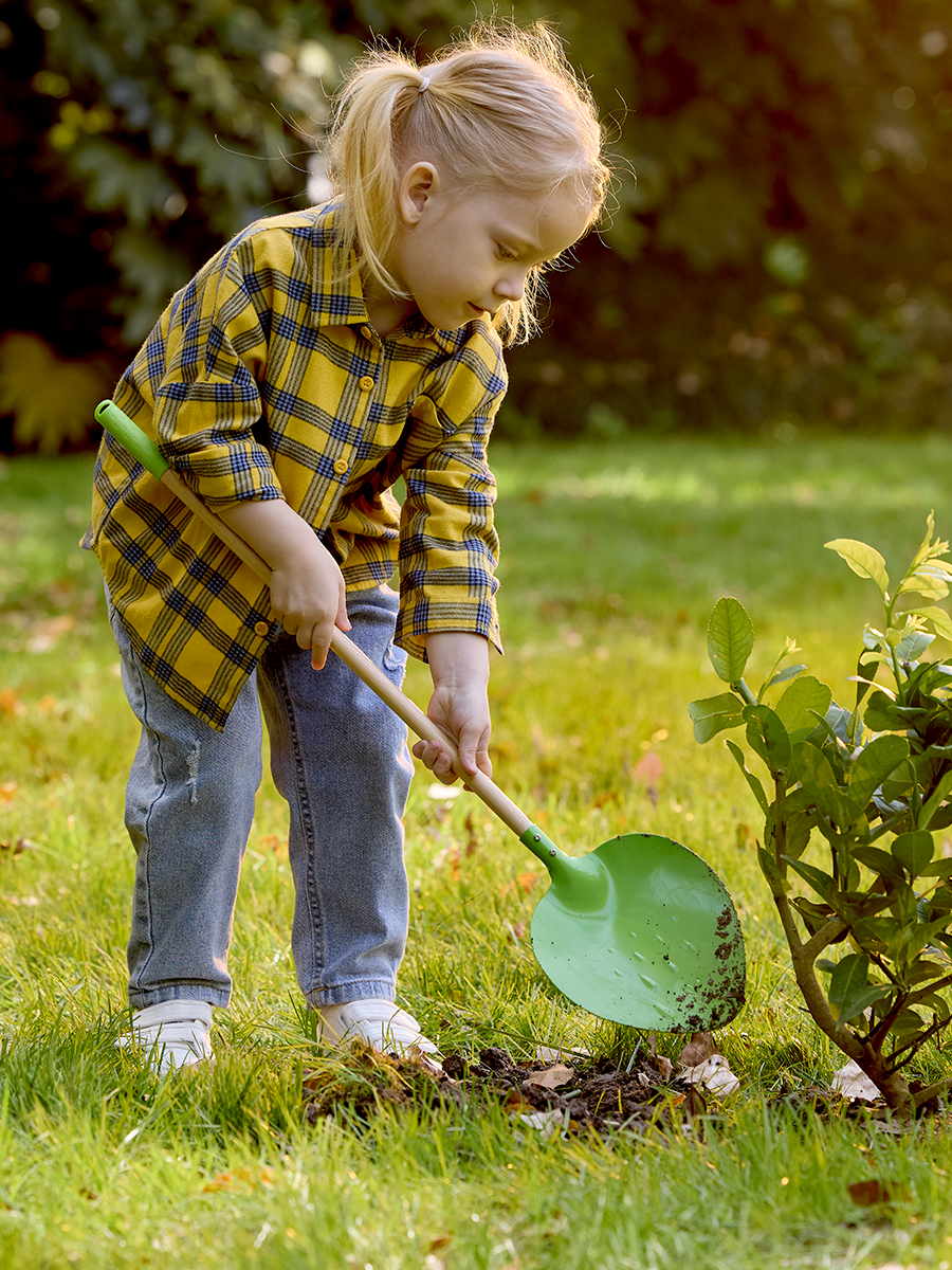 Лопатка Hape - фото 1