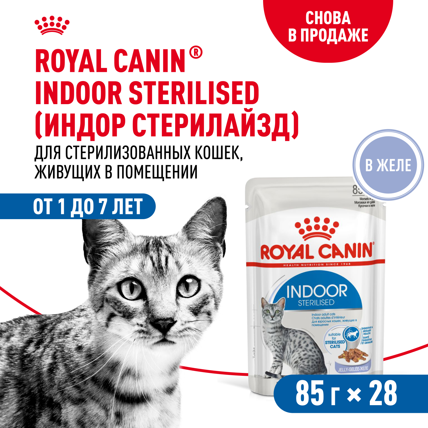 Корм влажный ROYAL CANIN Indoor Sterilised для кошек стерилизованных кусочки в желе - фото 3