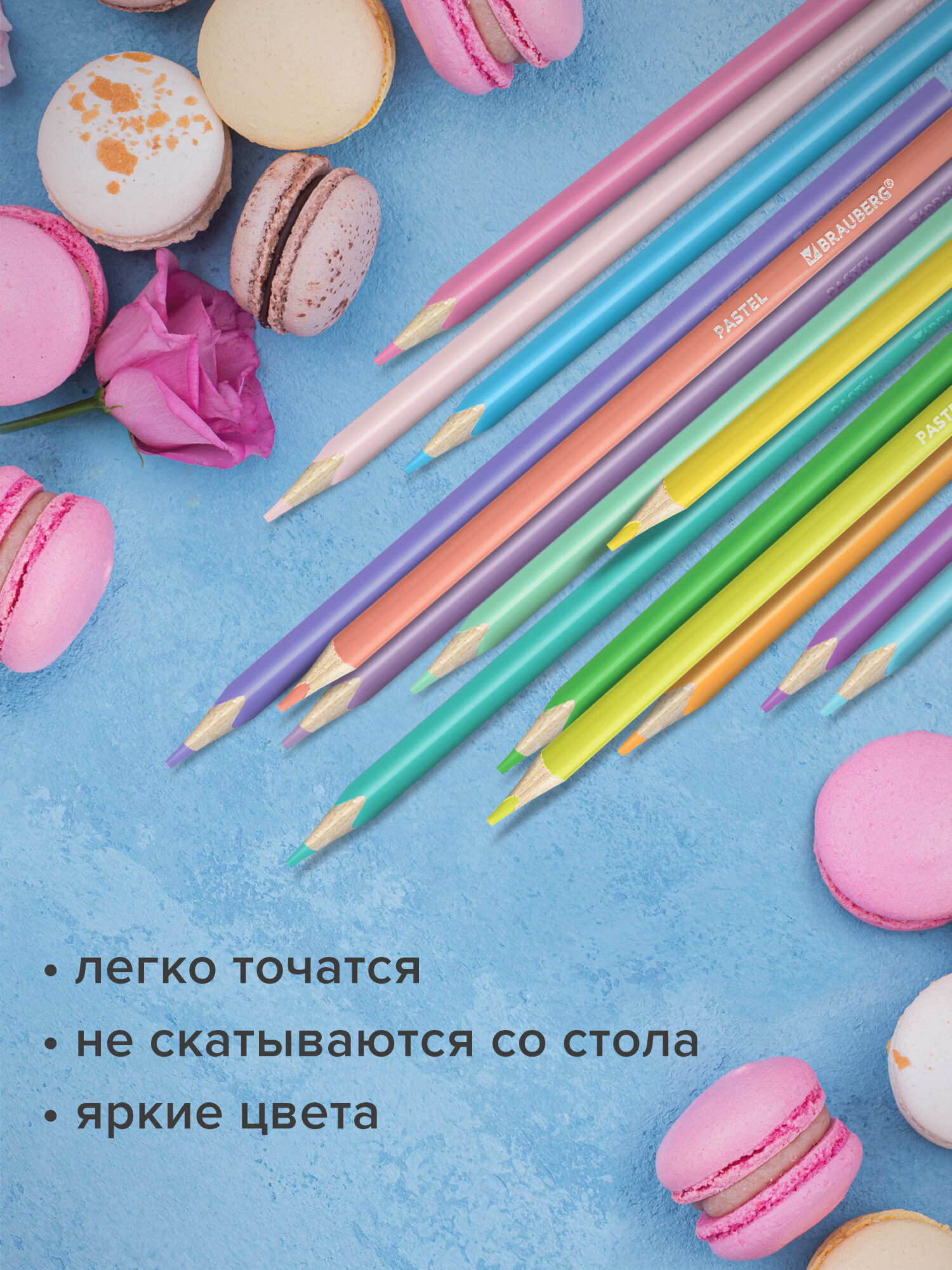 Карандаши цветные Brauberg 24 шт. - фото 4