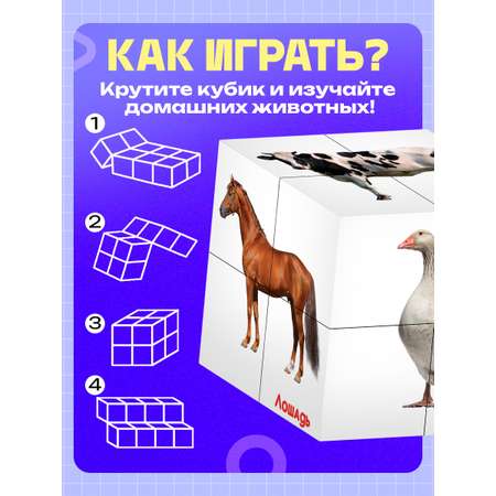 Настольная игра IQ-ZABIAKA Умникуб Домашние животные
