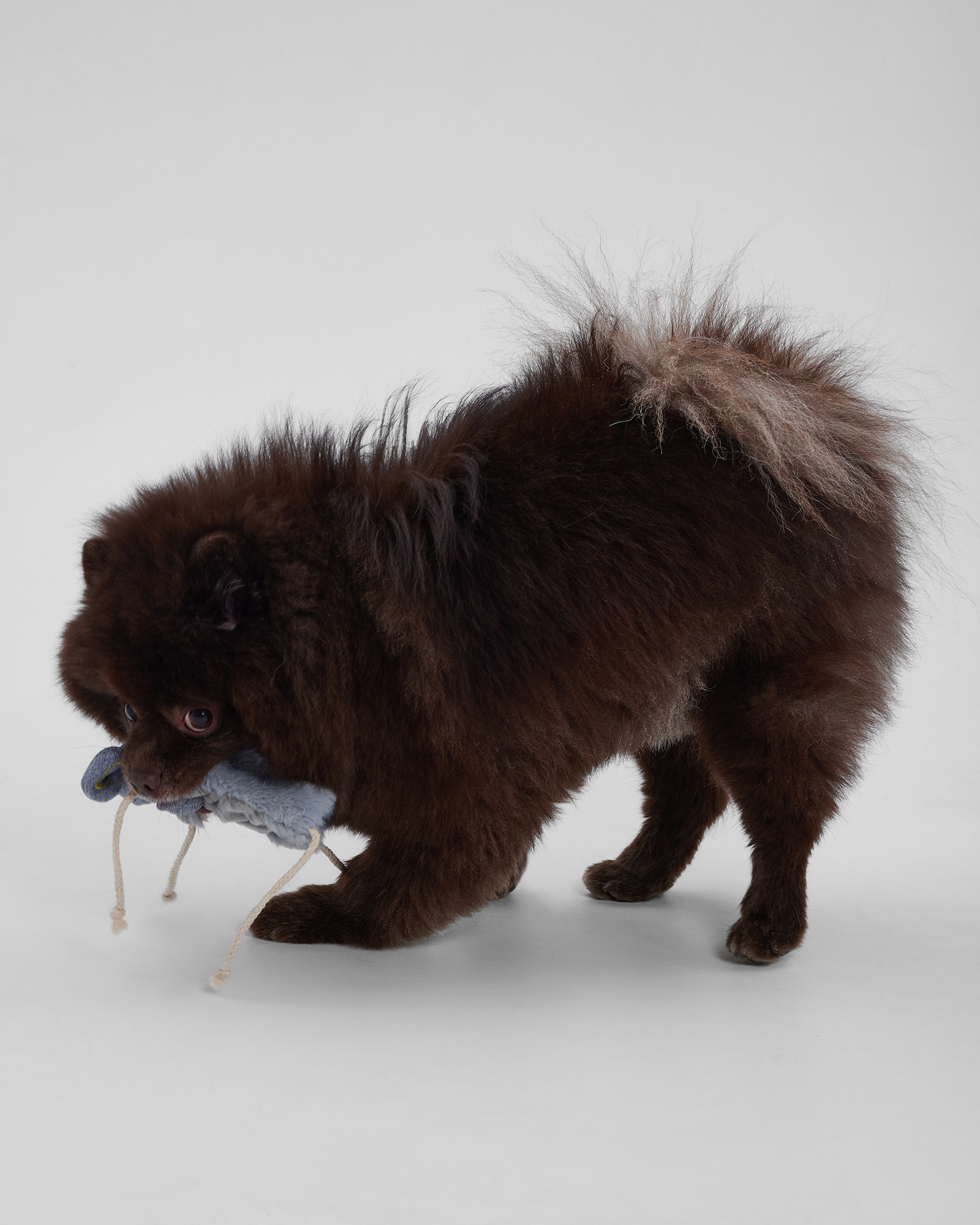 Игрушка для собак Barbaks Слонёнок плоский с канатиком шуршит 33*26.5 см - фото 6