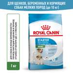 Корм для щенков ROYAL CANIN Starter мелких пород 1кг