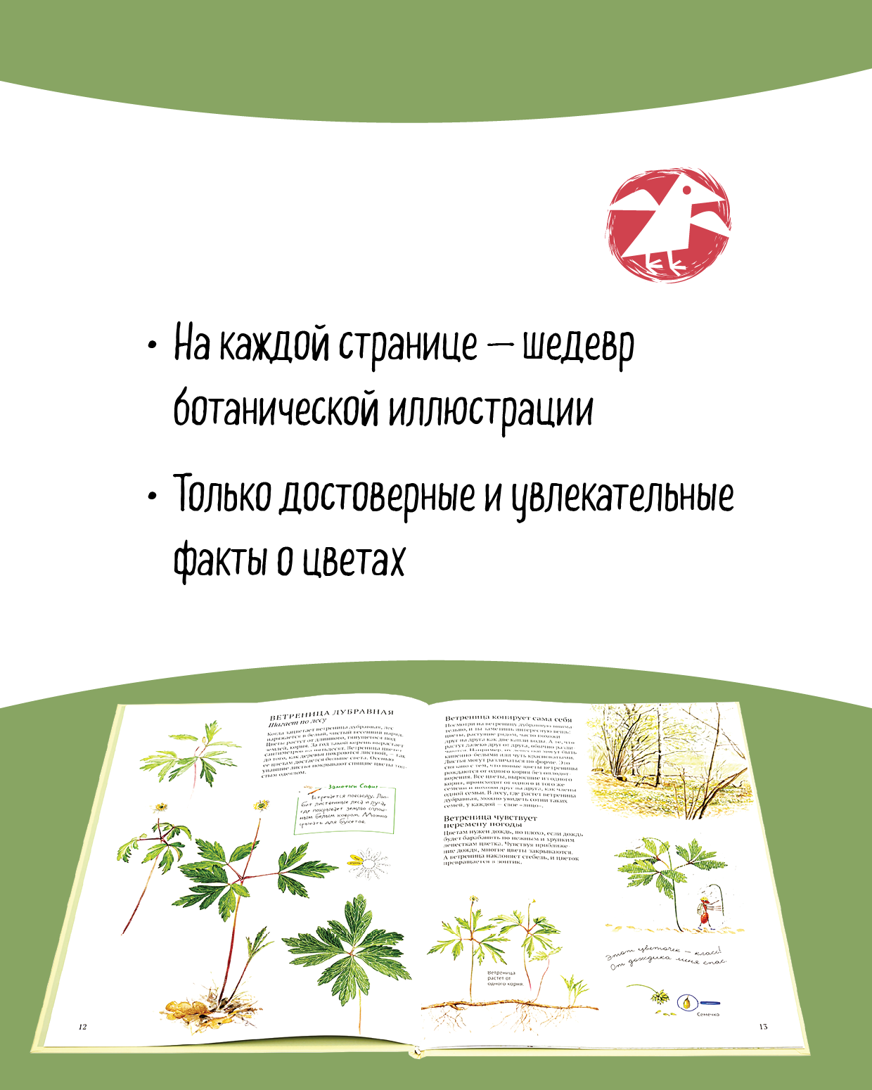 Книга ALBUS CORVUS Софи в мире цветов - фото 4