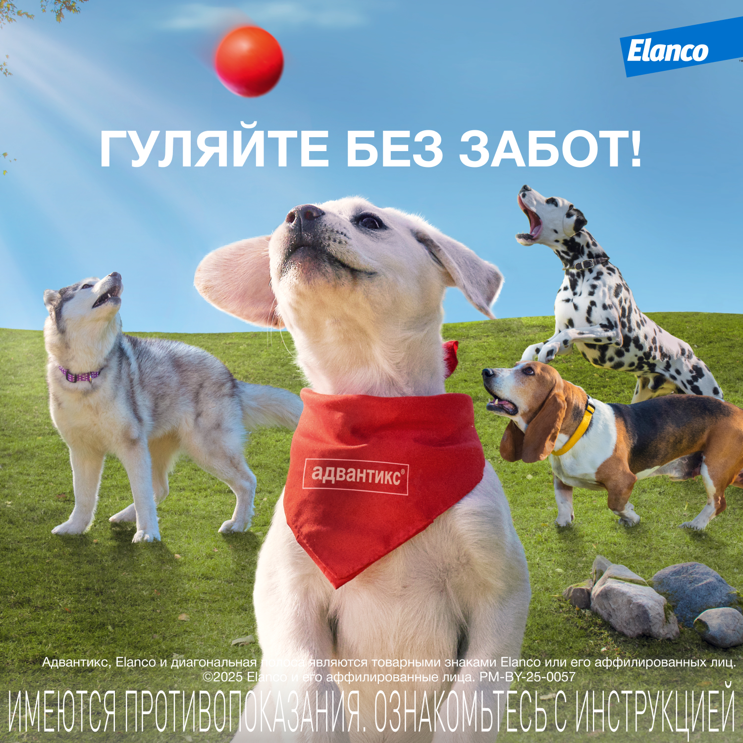 Капли для собак Elanco Адвантикс от 4 до 10кг против блох и клещей 1пипетка - фото 9