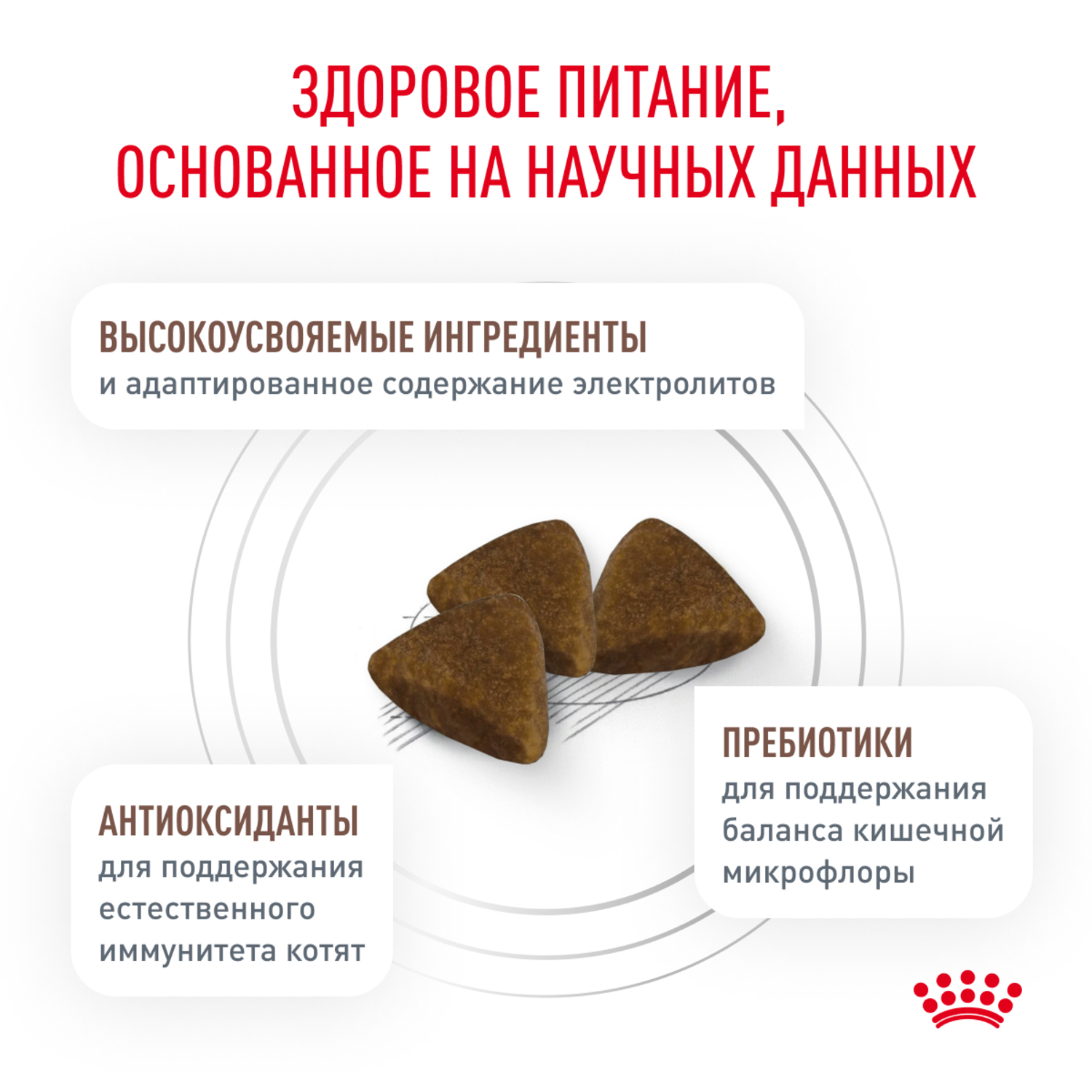 Корм для котят Royal Canin 2кг Gastrointestinal Kitten при нарушениях пищеварения сухой - фото 4