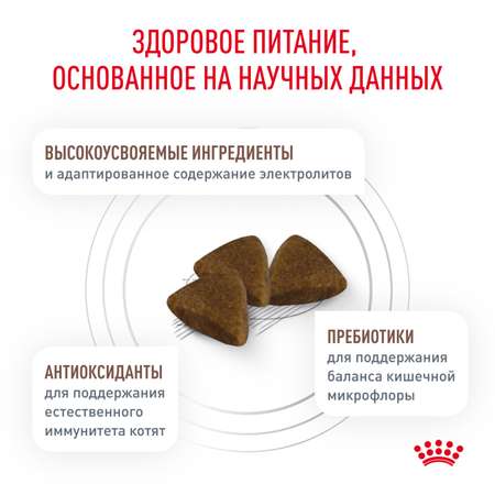 Корм для котят Royal Canin 2кг Gastrointestinal Kitten при нарушениях пищеварения сухой