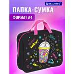 Папка-сумка Brauberg портфель для бумаг с ручками на молнии