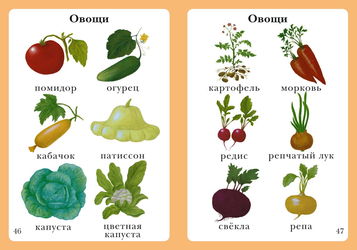 Книга Белый город Моя первая книга - фото 5