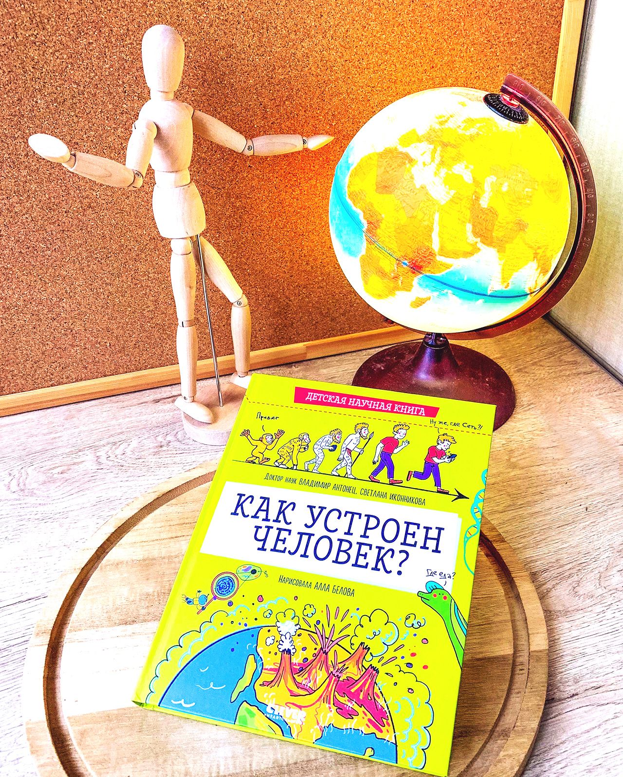Книга Clever Издательство Детская научная книга. Как устроен человек? - фото 2