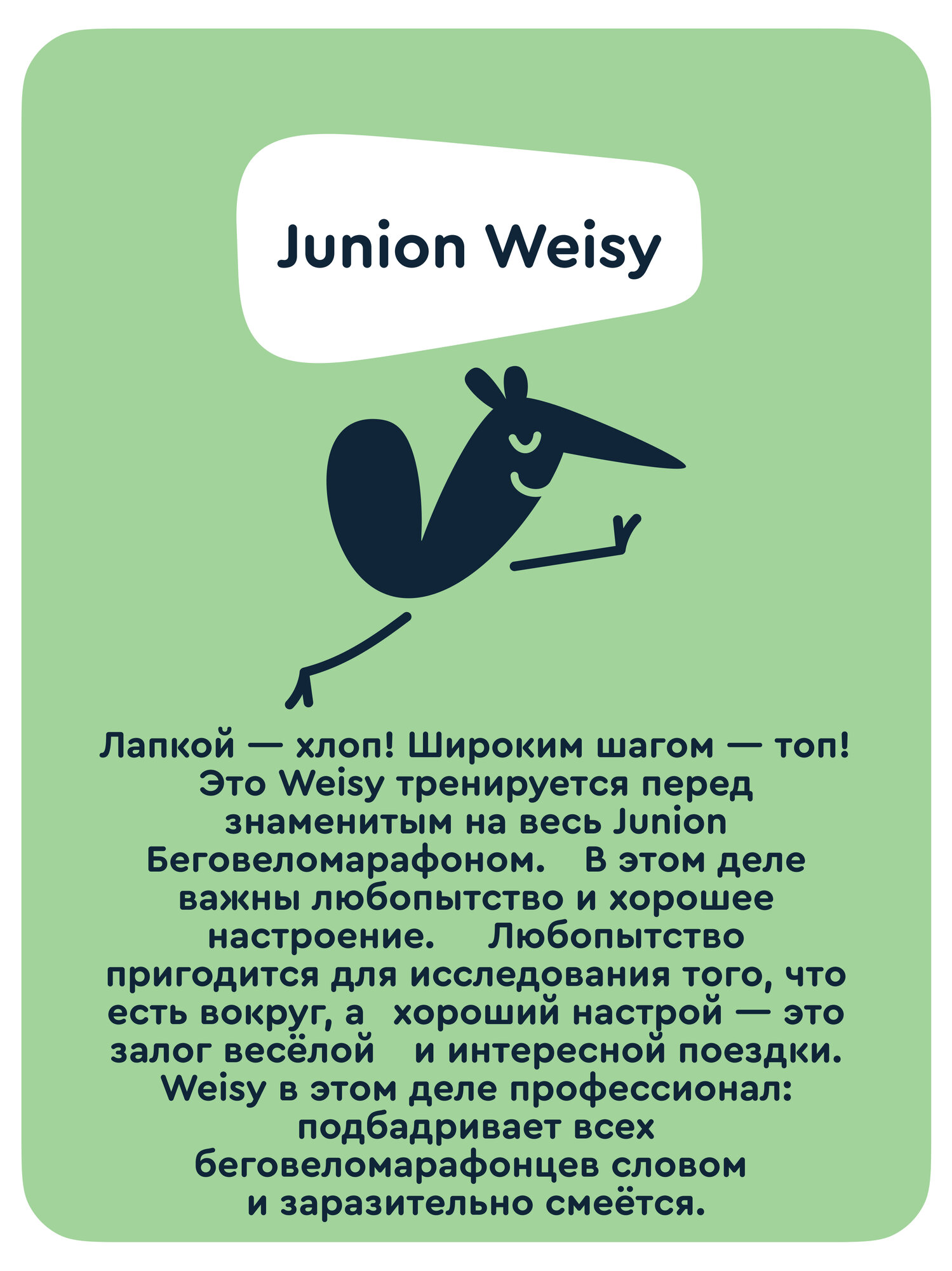 Двухколесный беговел Junion 12 дюймов - фото 13