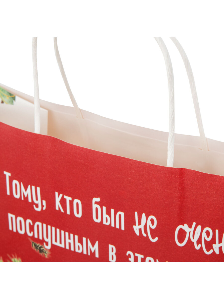 Пакет подарочный новогодний Золотая сказка пакетики для подарков и сладостей набор 4 штуки крафт - фото 6