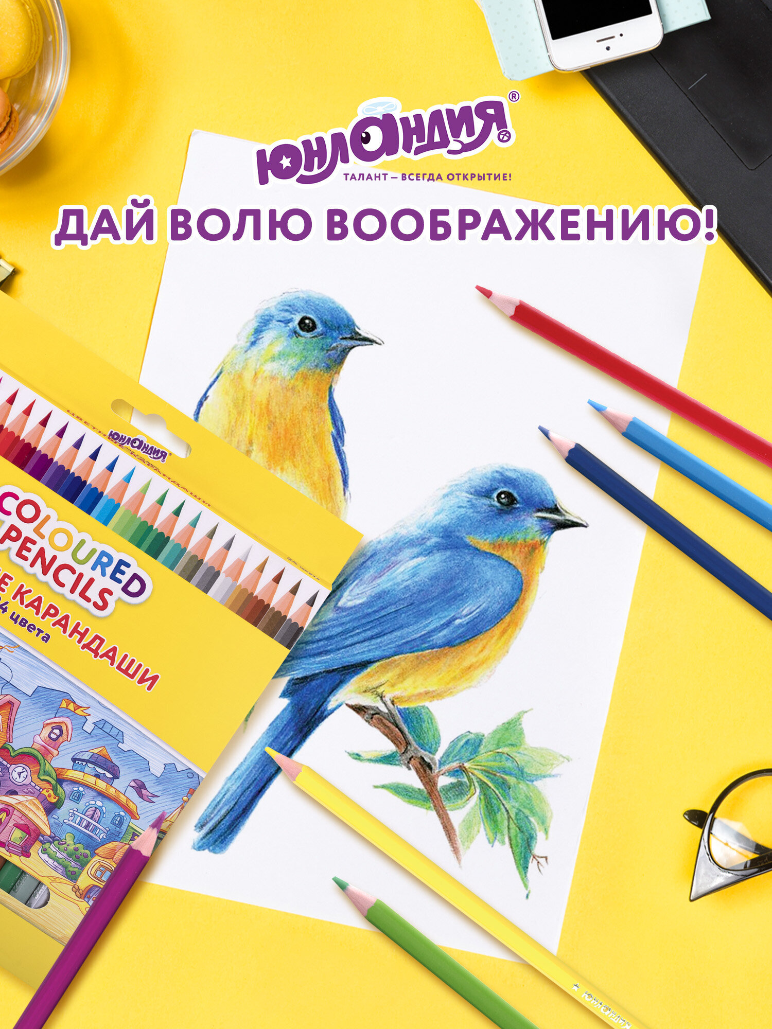 Карандаши цветные Юнландия 24 шт. - фото 6