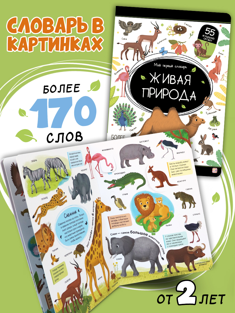 Книга с окошками Живая природа Животные Malamalama Энциклопедия для малышей - фото 1