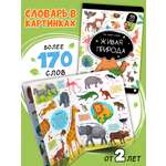 Книга с окошками Живая природа Животные Malamalama Энциклопедия для малышей