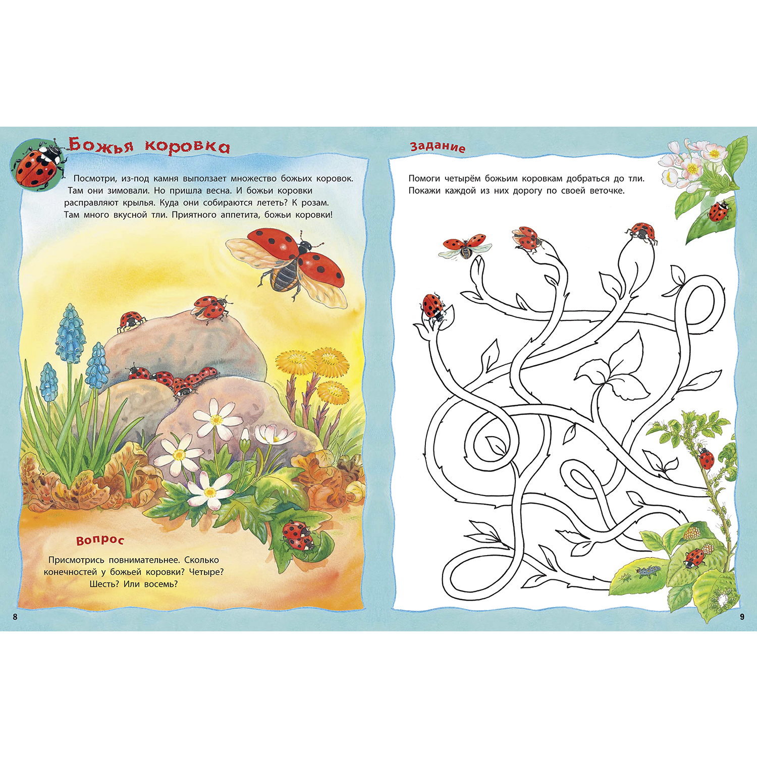 Книга ЭНАС-книга Как живут насекомые? - фото 4