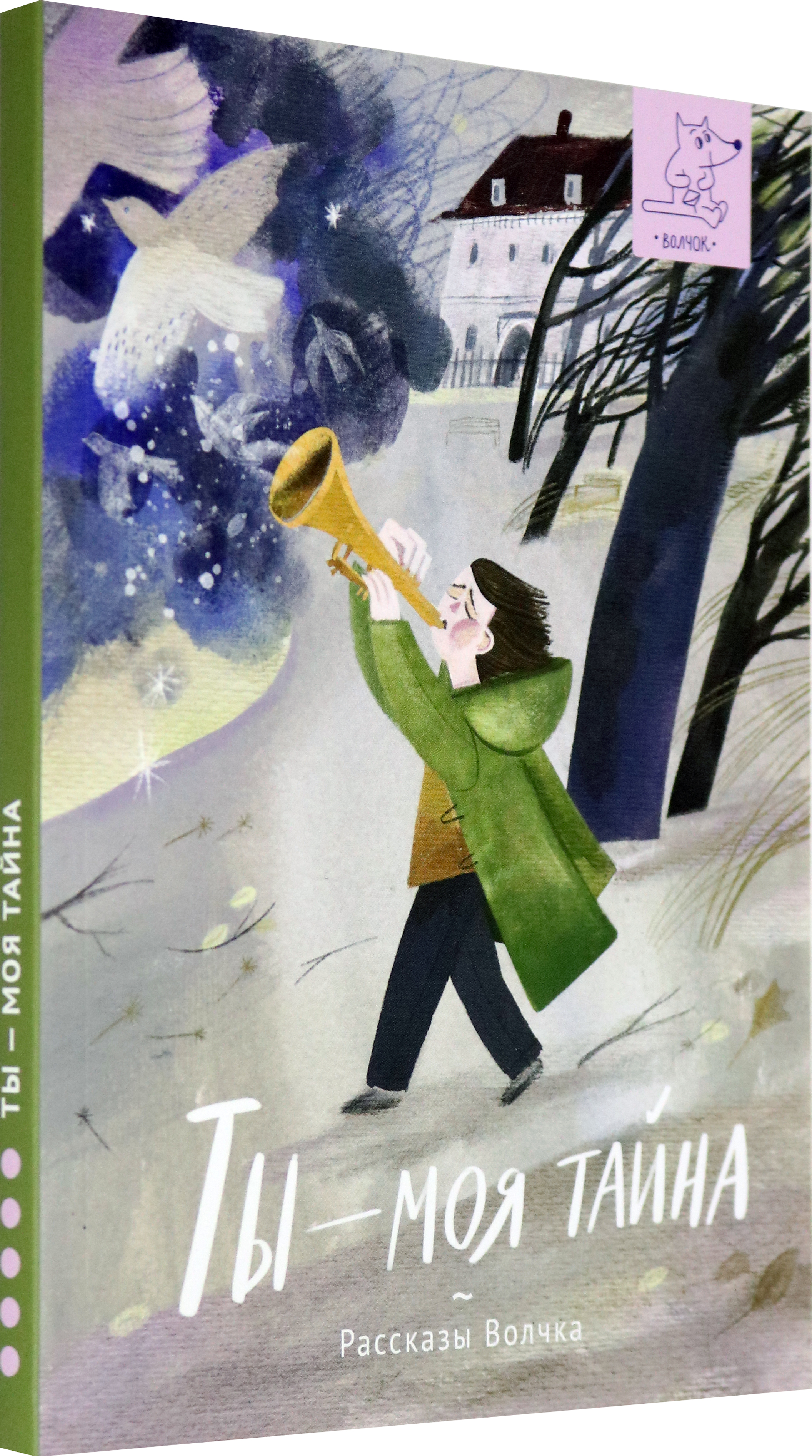 Книга Волчок Ты - моя тайна - фото 2