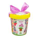 Набор для выращивания Happy Plant
