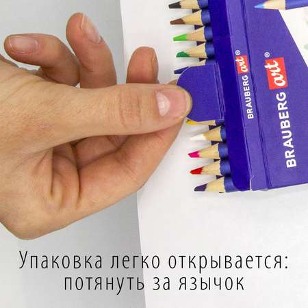 Карандаши акварельные Brauberg 36 шт.