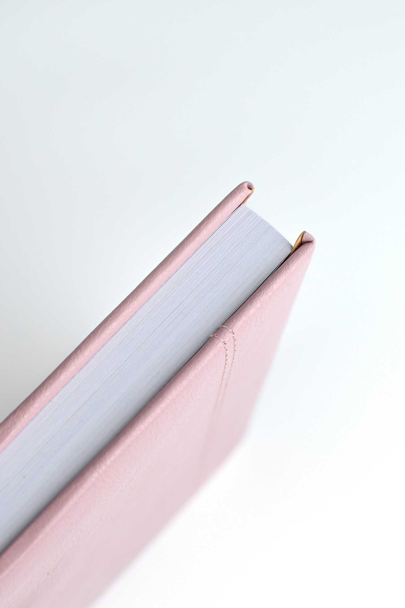 Ежедневник Феникс + ESCALADA 176 лист. - фото 18