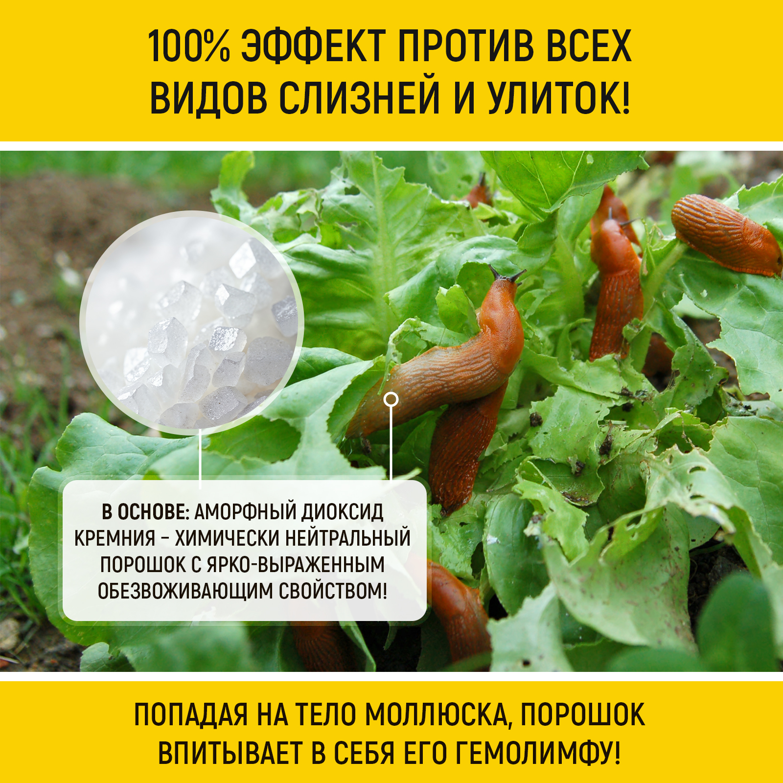 Уничтожитель WALNUT слизней и улиток в огороде и саду, 1 л - фото 3