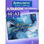 Альбом Brauberg А3 40 лист.