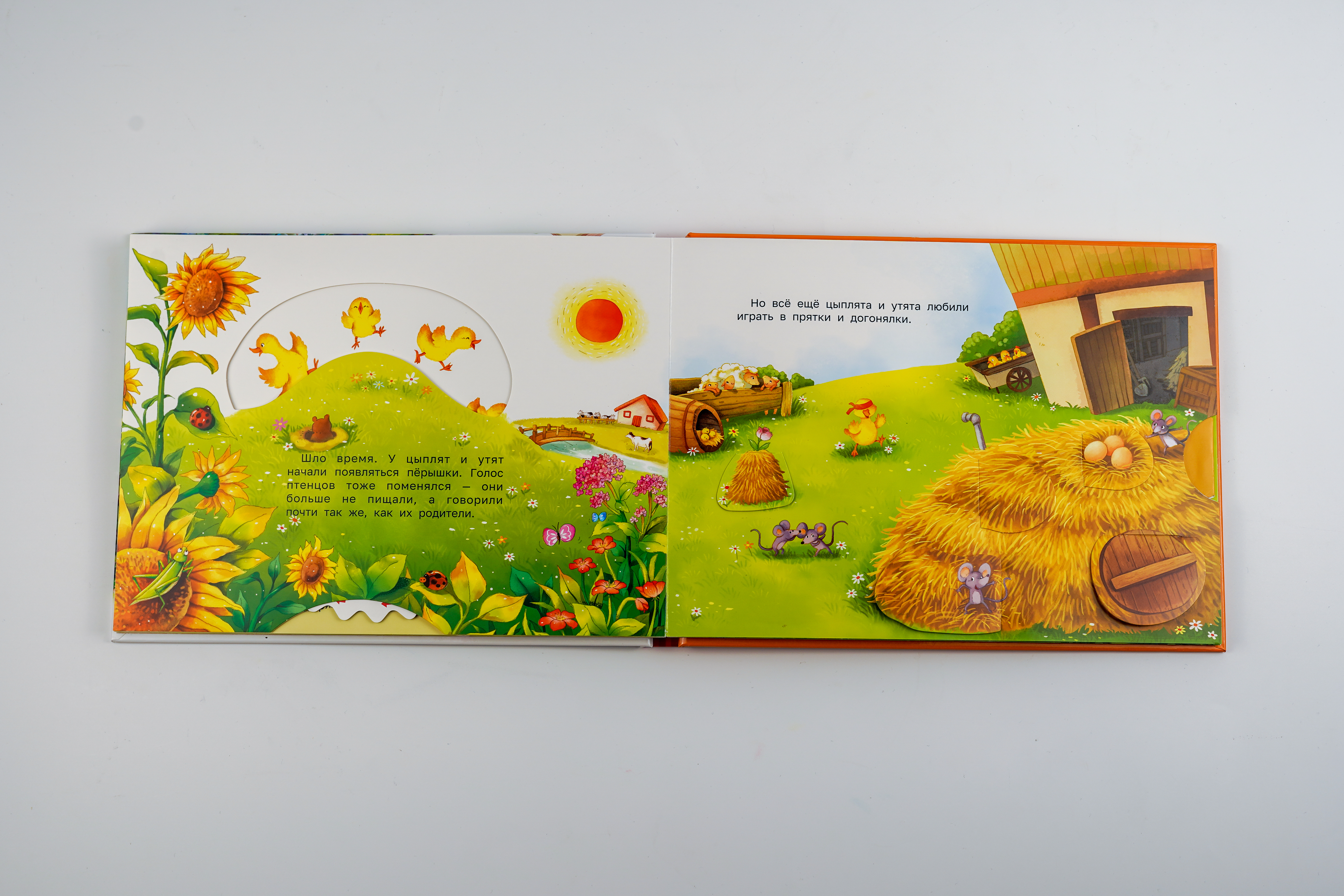 Книга АСТ Приключения на ферме - фото 4