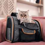 Рюкзак-переноска для животных Не один дома Orange 41*21*30см Темно-серый