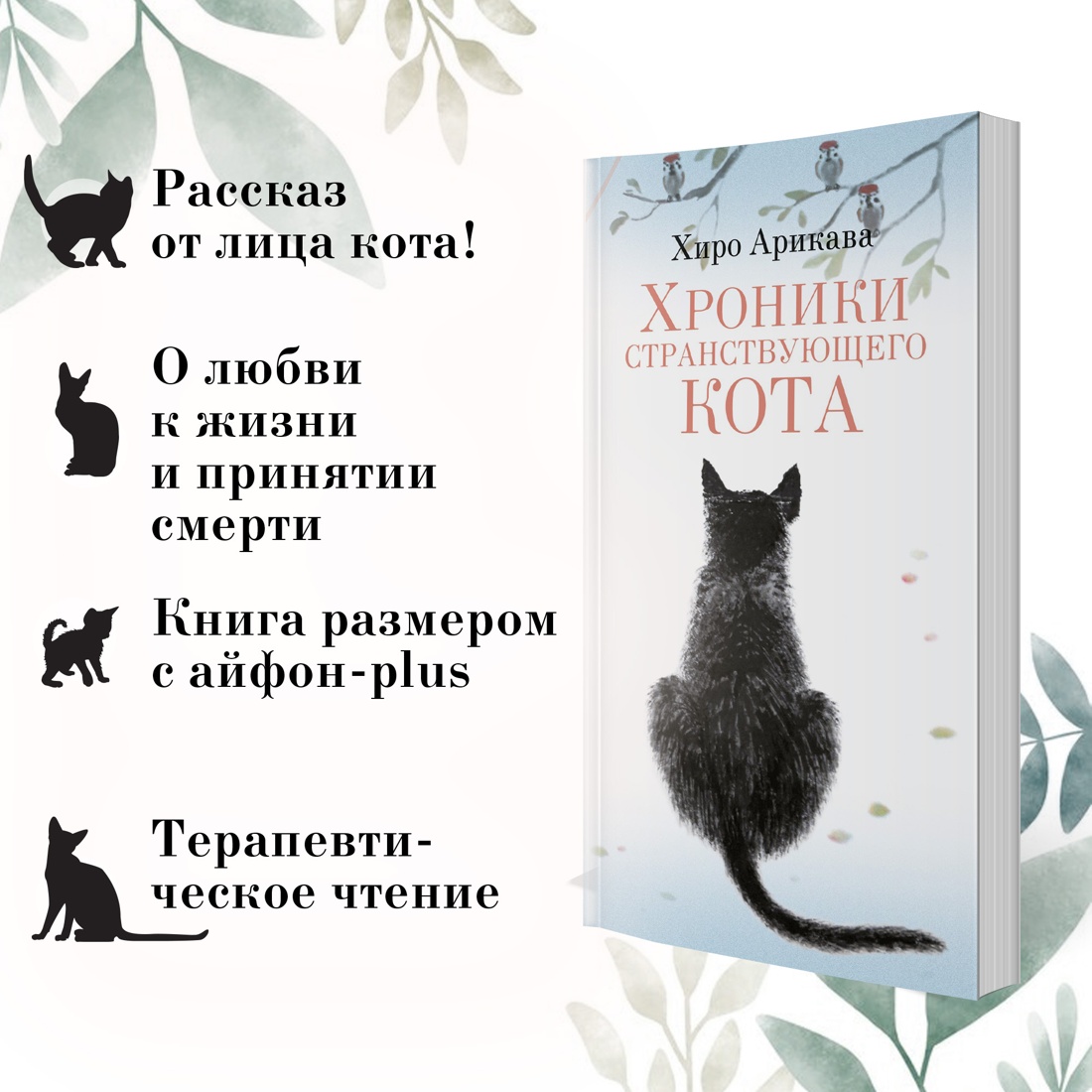 Книга АЗБУКА Хроники странствующего кота. - фото 3