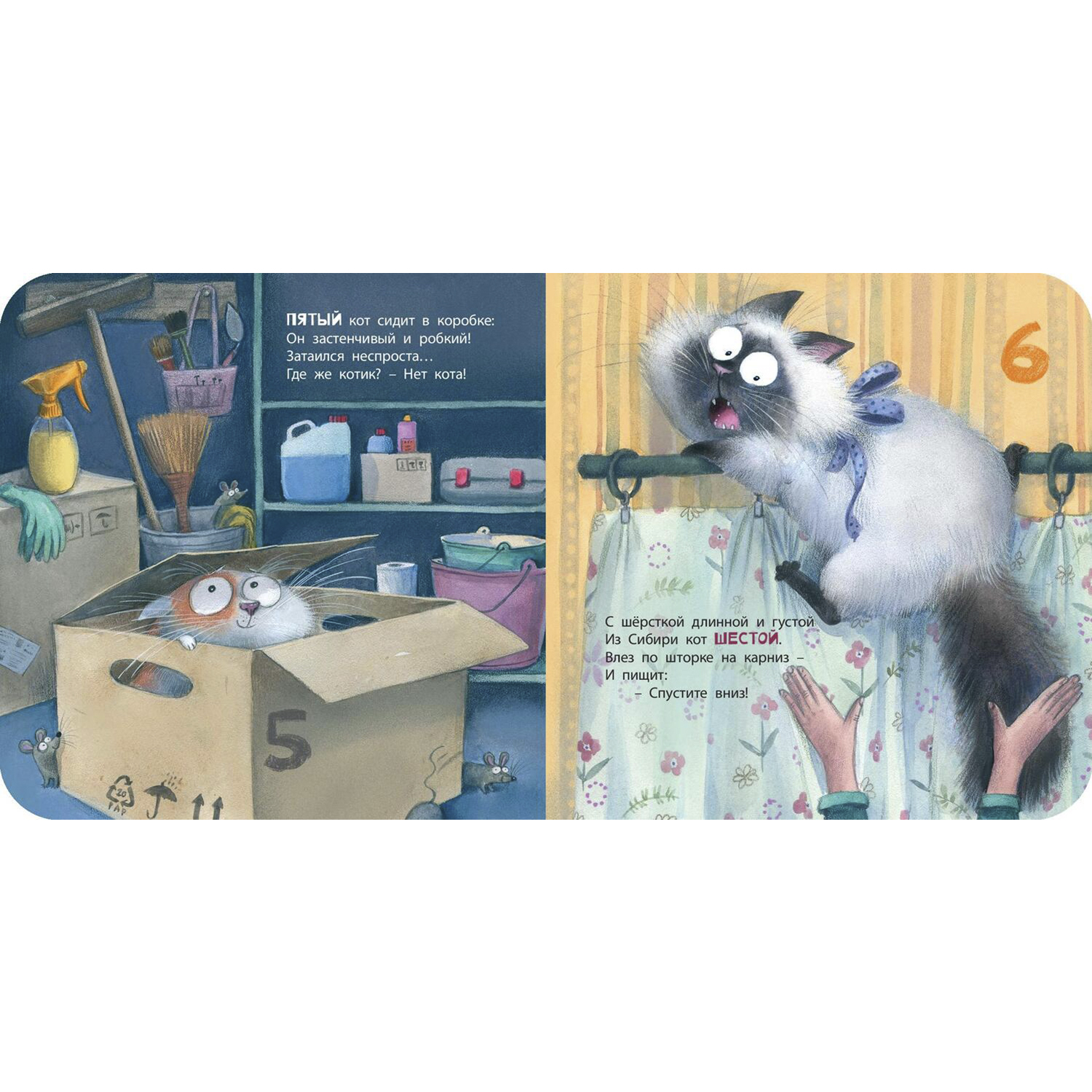 Книга ЭНАС-книга Будем котиков считать - фото 3