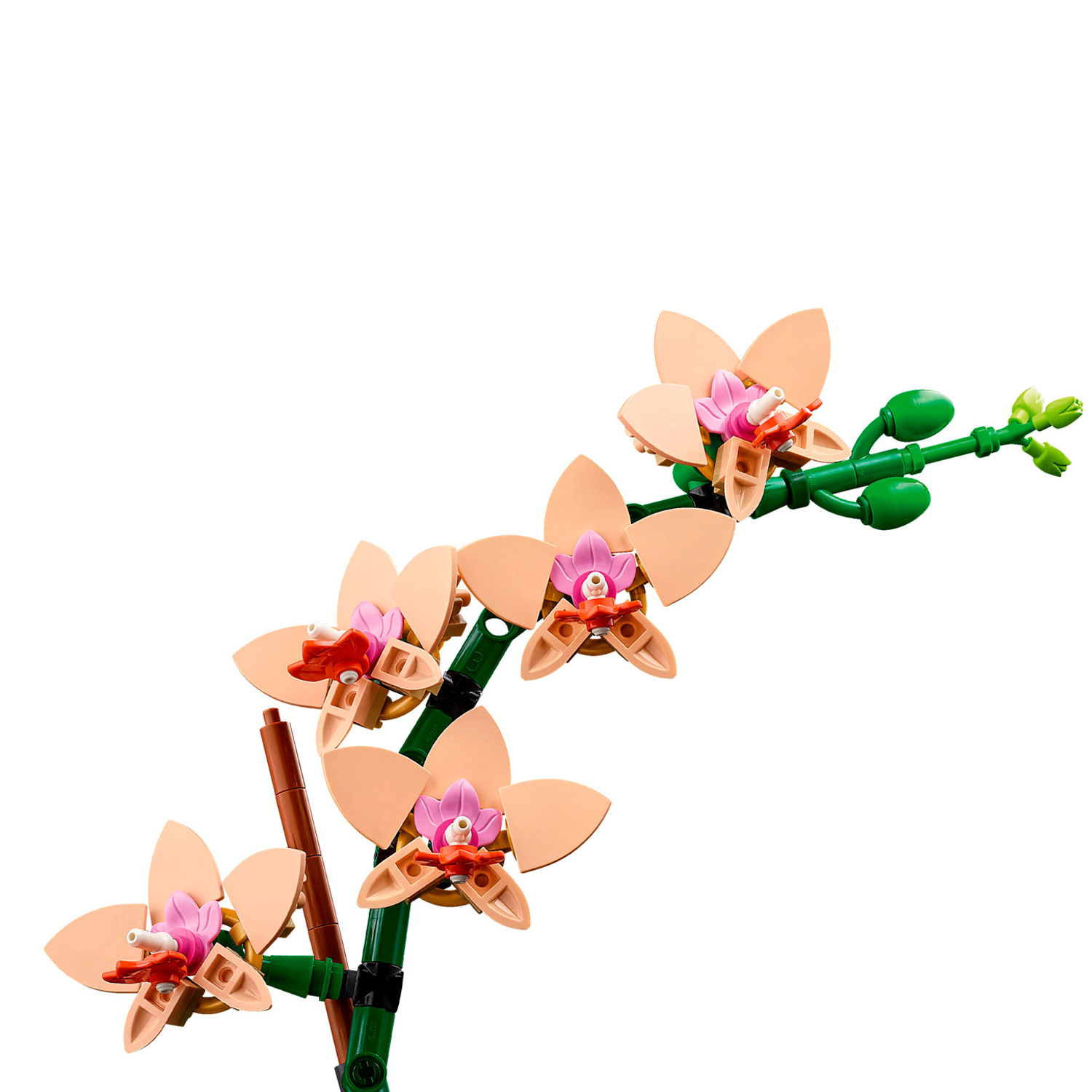 Конструктор LEGO Botanicals Орхидея Мини 274 дет. - фото 5